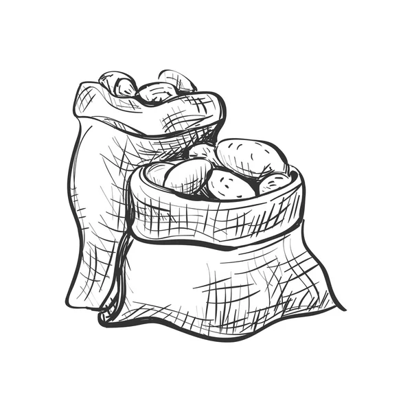 Doodle pytel brambor — Stockový vektor