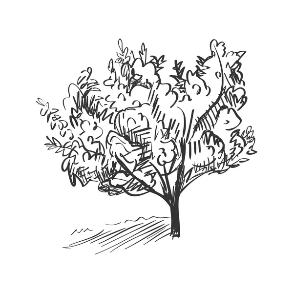 Doodle δέντρο — Διανυσματικό Αρχείο