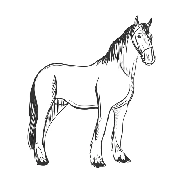 Caballo garabato — Vector de stock