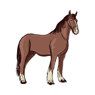 Doodle at. Beyaz arka planda izole. Mükemmel vektör çizim, Eps 10