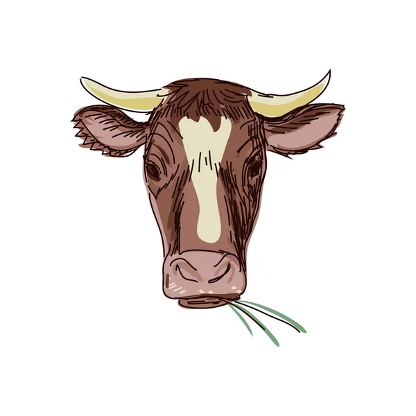 Vaca rabugenta, esboço de crânio de vaca. Isolado em fundo branco. Excelente ilustração vetorial, EPS 10 — Vetor de Stock