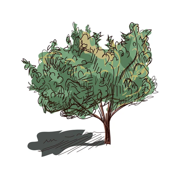 Árvore de doodle. Isolado em fundo branco. Excelente ilustração vetorial, EPS 10 — Vetor de Stock