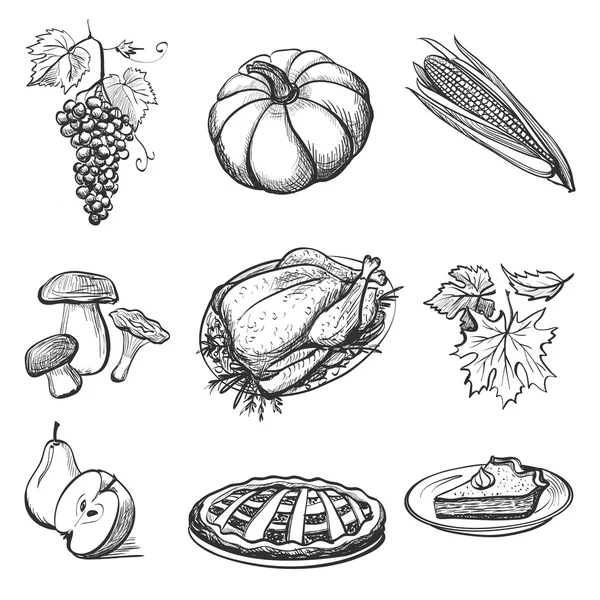 Set of hand drawn Thanksgiving attributes — Stockvector