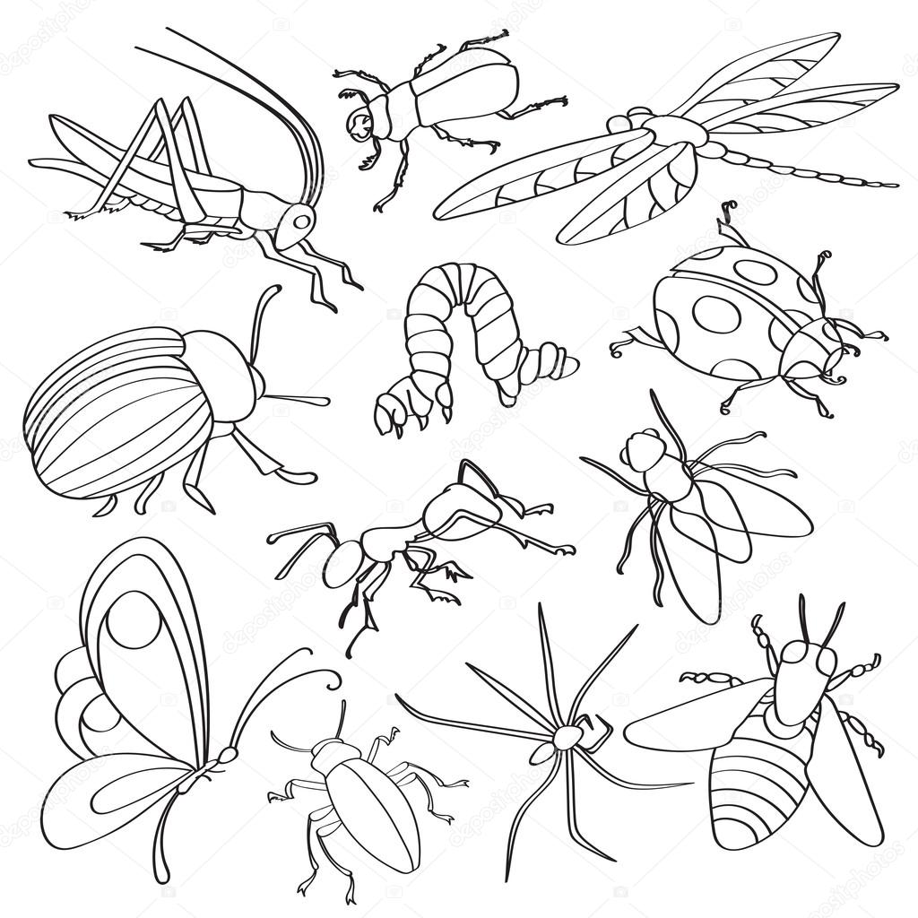 Doodle vector insects