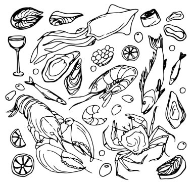 Doodle vektör deniz ürünleri