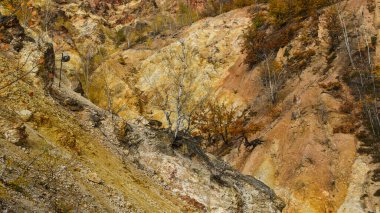 Toprağın doğal sarı dokusu. Sırp otomatik adam sahnesi. En düşük bileşim.