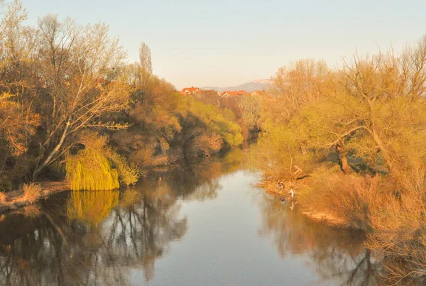 Nehirde Sonbahar Sahnesi Yaprakların Sarı Rengi Suda Yansıma Doğada Dinlenme — Stok fotoğraf