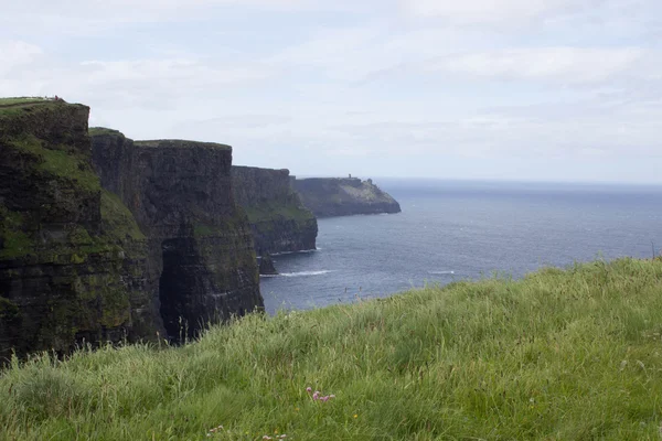 Kliffen van Moher — Stockfoto