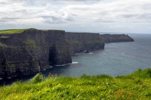 Kliffen van Moher — Stockfoto