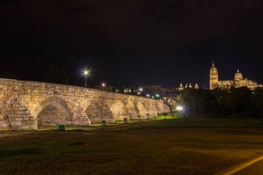 Roman Bridge and Salamanca clipart
