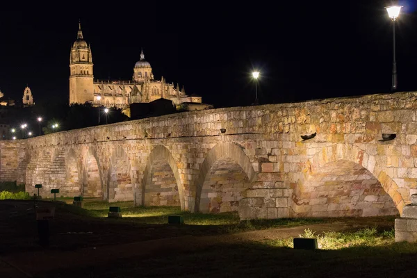 Roman Bridge and Salamanca — Stock Photo, Image