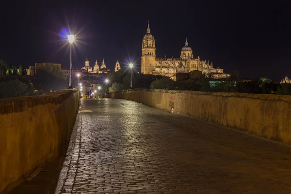 Roman Bridge and Salamanca — Stock Photo, Image