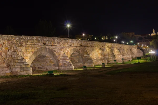 Roman Bridge and Salamanca — Stock Photo, Image