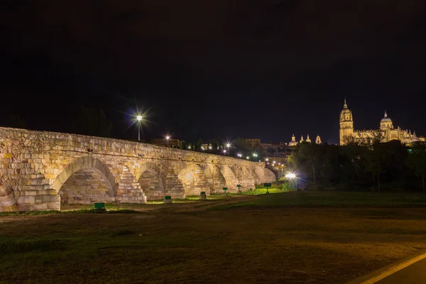 Salamanca ve Roma köprüsü — Stok fotoğraf