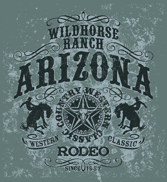 Родео дикой лошади Аризоны
