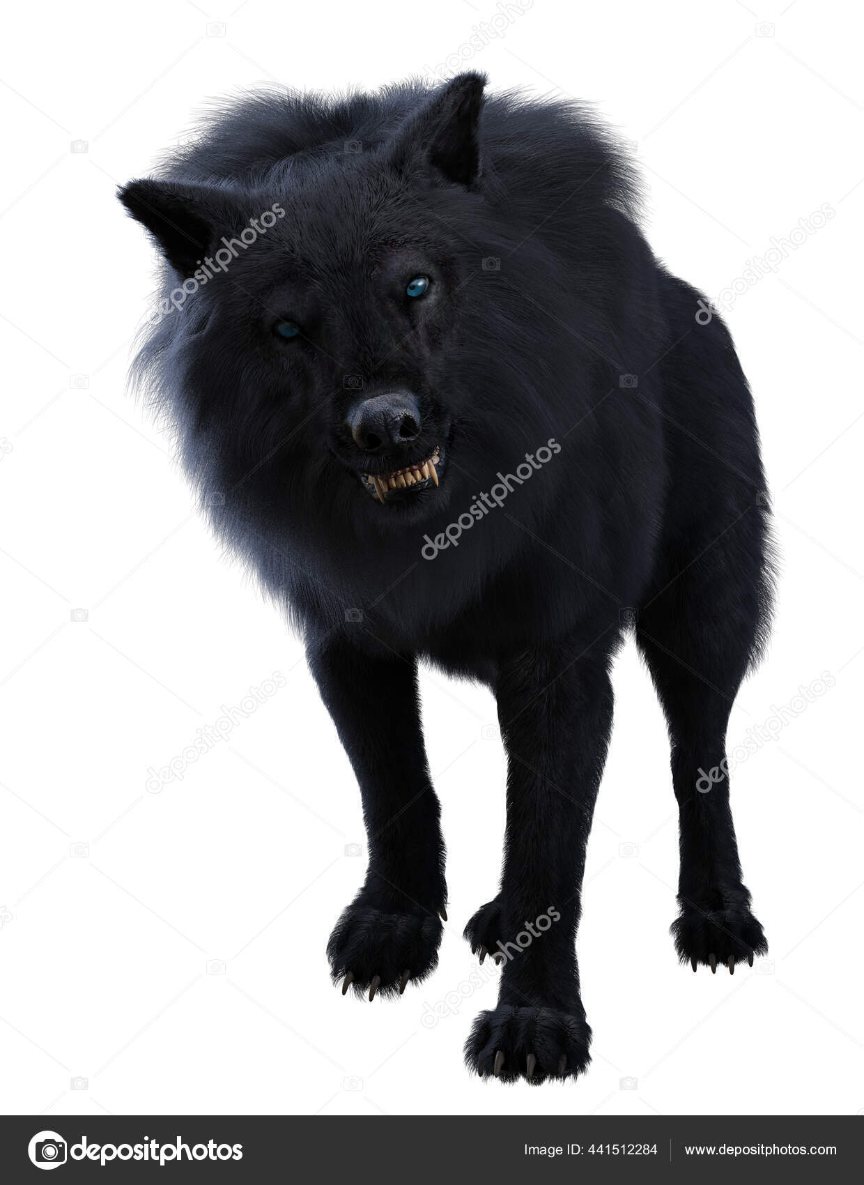Black Direwolf Wolf Isolated White — Stock Photo © horse1412000 441512284