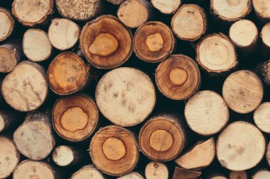 Wooden logs background