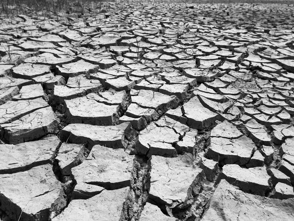 black and white cracked earth textured