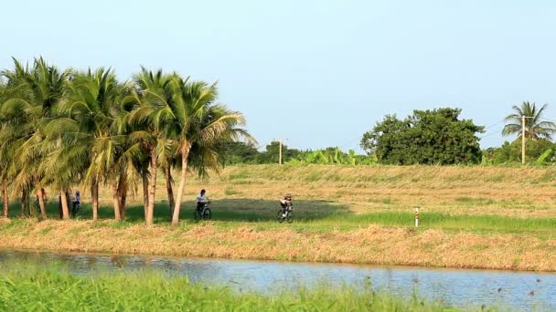 Mensen Fietsen Groot Park — Stockvideo