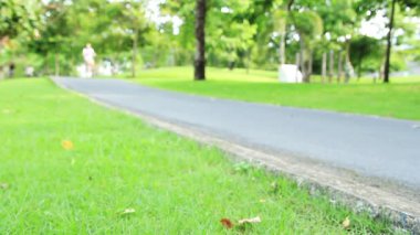 İnsanlar parkta bisiklete biniyor.