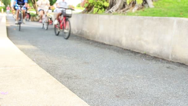 Gente Monta Bicicleta Parque — Vídeo de stock