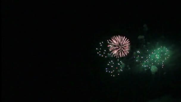 Spannendes Feuerwerk Dunklen Himmel — Stockvideo