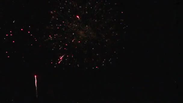 Spannend Vuurwerk Donkere Lucht Beelden — Stockvideo