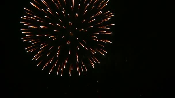 Izgalmas Tűzijáték Hangfelvételekkel — Stock videók