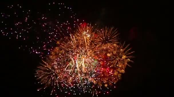 Emocionante Fuegos Artificiales Con Imágenes Sonido — Vídeo de stock