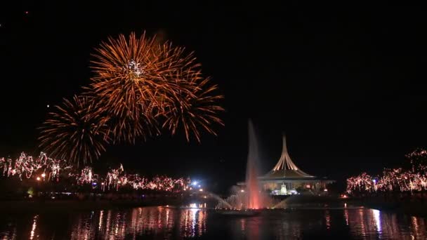 Spannendes Feuerwerk Über Dem Park — Stockvideo