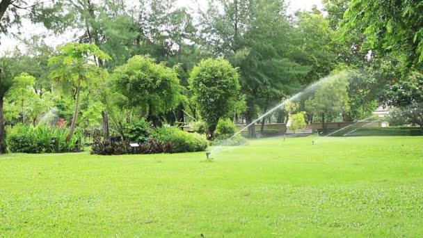 Hög Effekt Gräsmatta Sprinkler Vattning Gräs Trädgården — Stockvideo