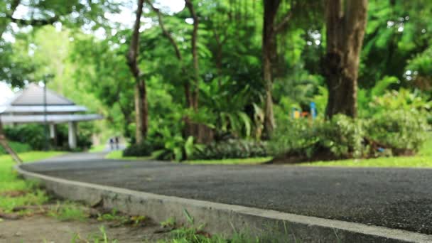 Gente Monta Bicicleta Parque — Vídeos de Stock