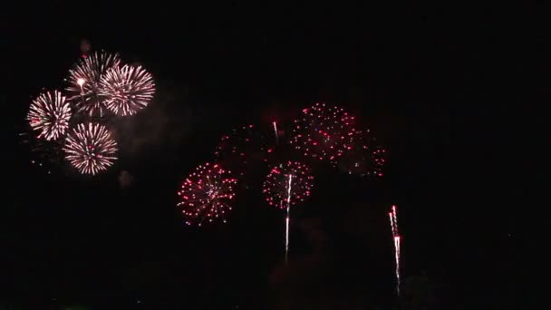 Spannendes Feuerwerk Dunklen Himmel — Stockvideo