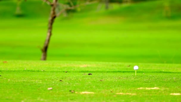 Golfista Dirigindo Uma Bola Golfe Tee — Vídeo de Stock