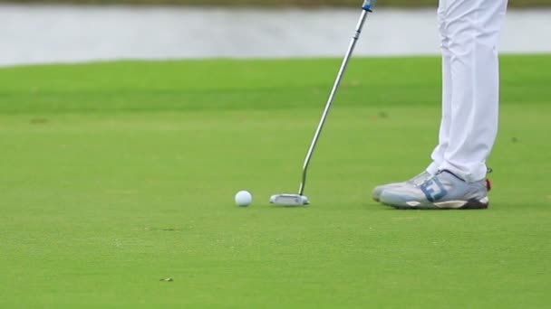 Golf Topunu Yeşile Koyan Bir Golfçü — Stok video