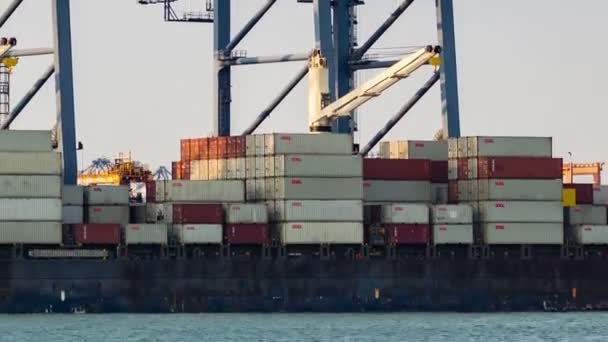 Buque Carga Cargando Mercancías Puerto Marítimo — Vídeo de stock