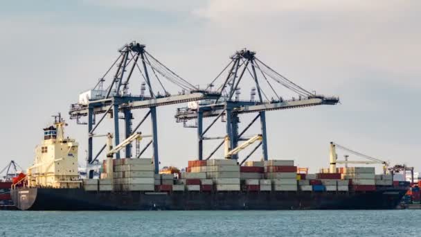 Vrachtschip Dat Goederen Laadt Zeehaven — Stockvideo