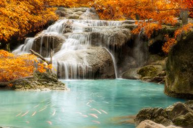 yağmur ormanı jungle şelale