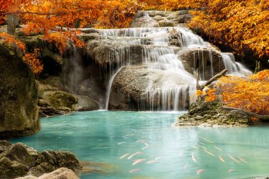 yağmur ormanı jungle şelale