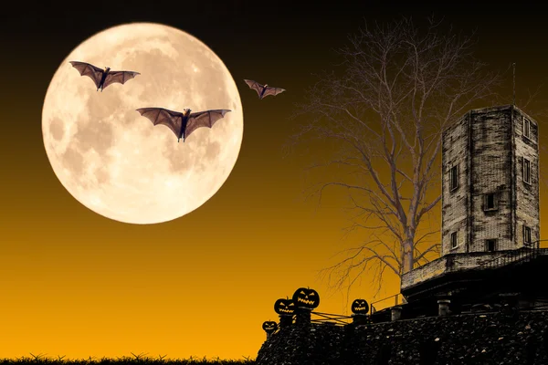 Halloween nacht concept — Stockfoto