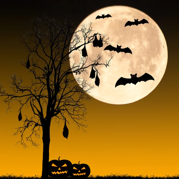 Halloween nacht concept — Stockfoto