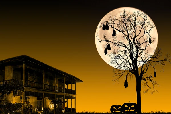 Ночь Хэллоуина — стоковое фото