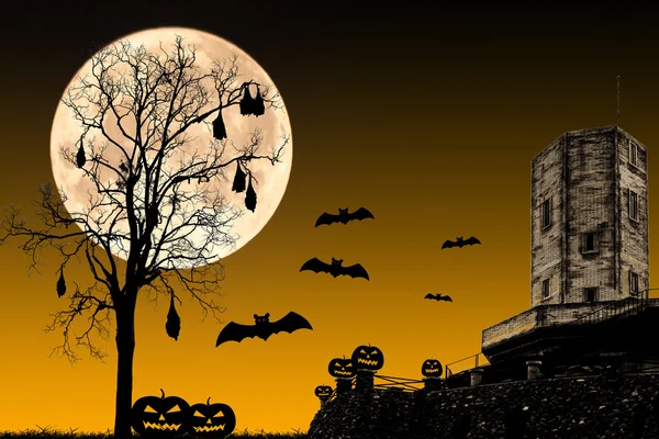 Halloween nacht concept — Stockfoto