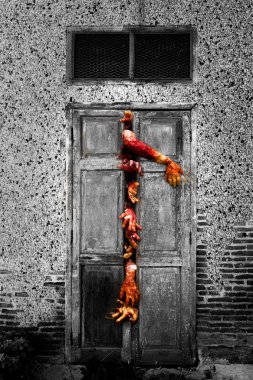 zombi el kapıdan