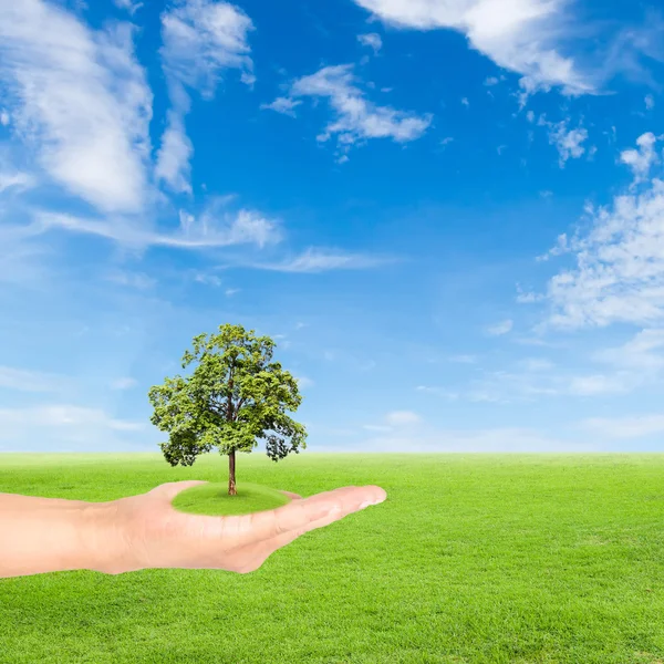 Concepto Tierra Verde, mano sosteniendo el árbol — Foto de Stock