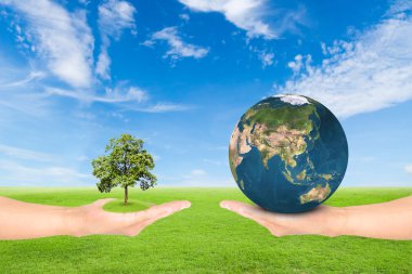 hand holding tree and earth clipart