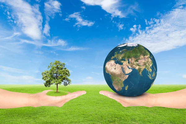 Hand holding tree and earth — Stock Photo, Image