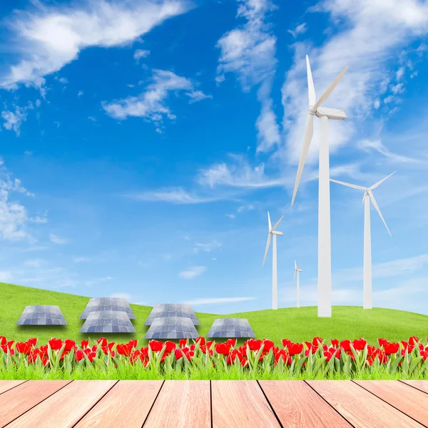 Tulipanes con turbina eólica y paneles solares en el campo de hierba verde a — Foto de Stock