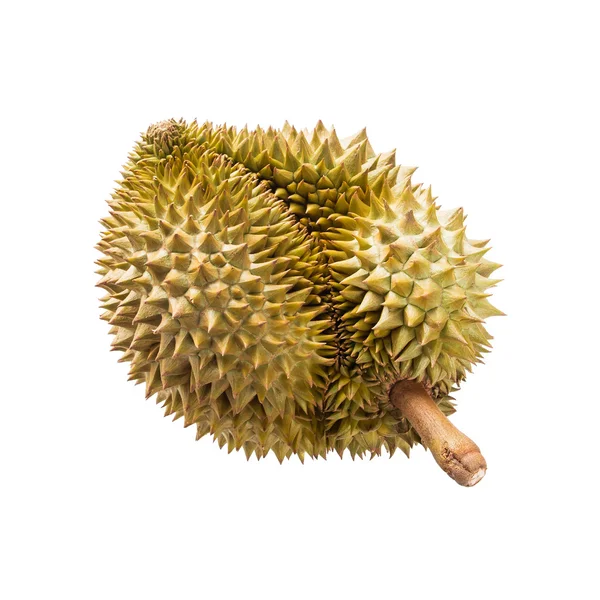 Durian isolé sur fond blanc — Photo