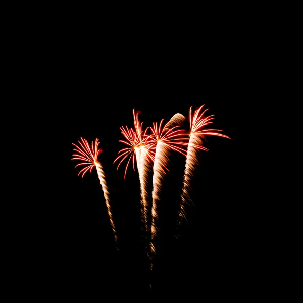 Colorful fireworks over dark sky background — Stock Photo, Image